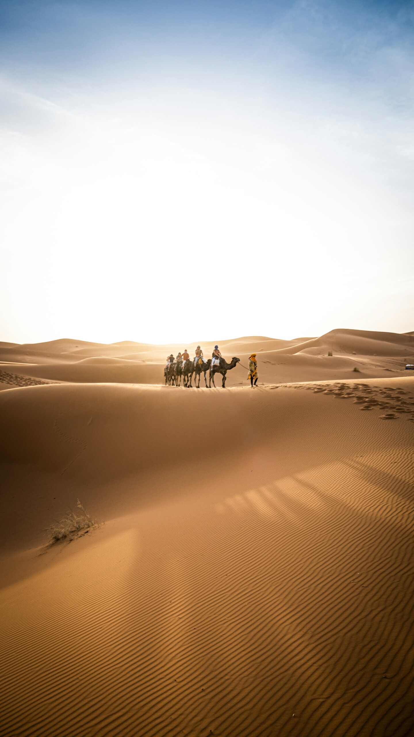 Desert Morocco Tour