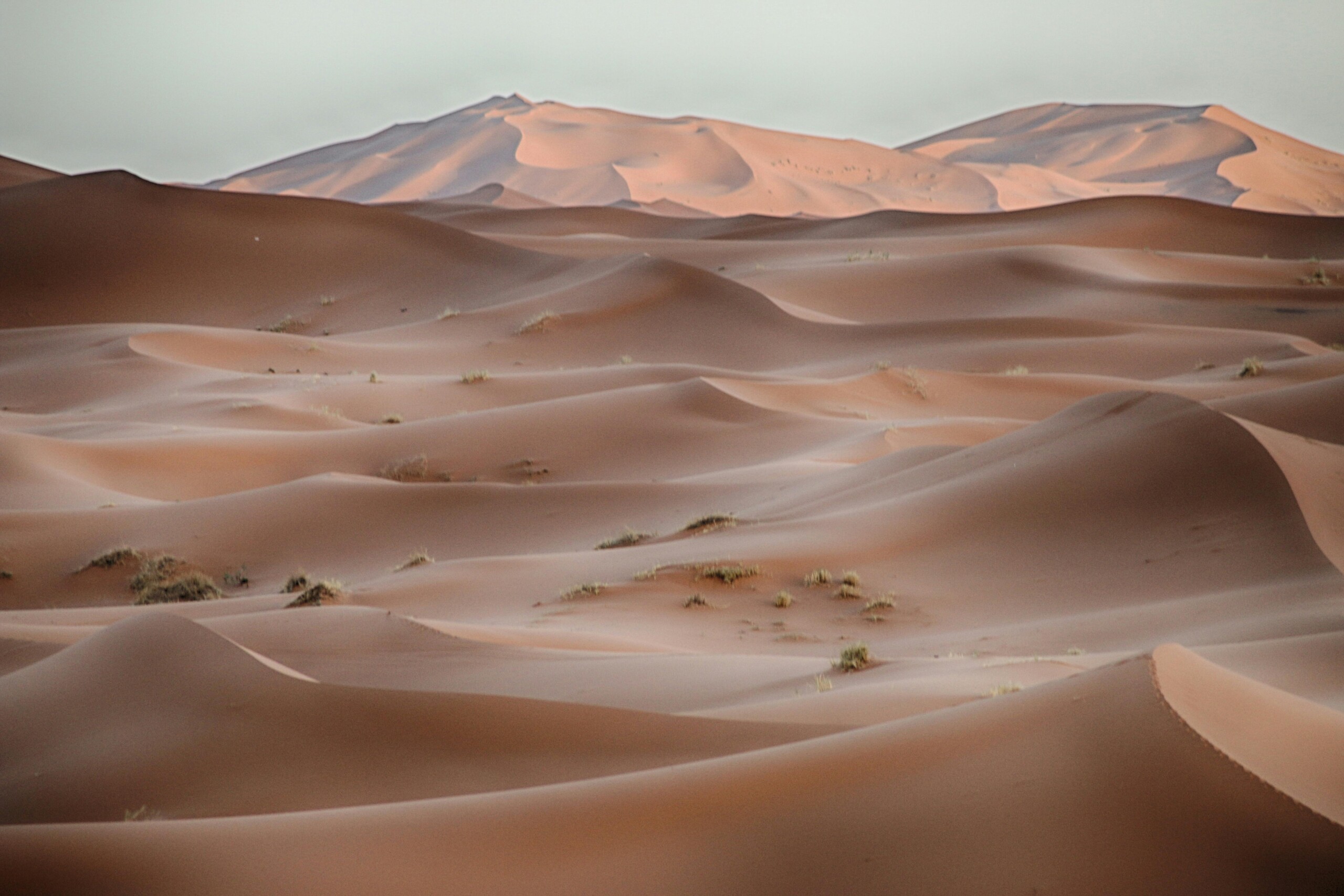 Golden dunes of Erg Chigaga in the Moroccan Sahara