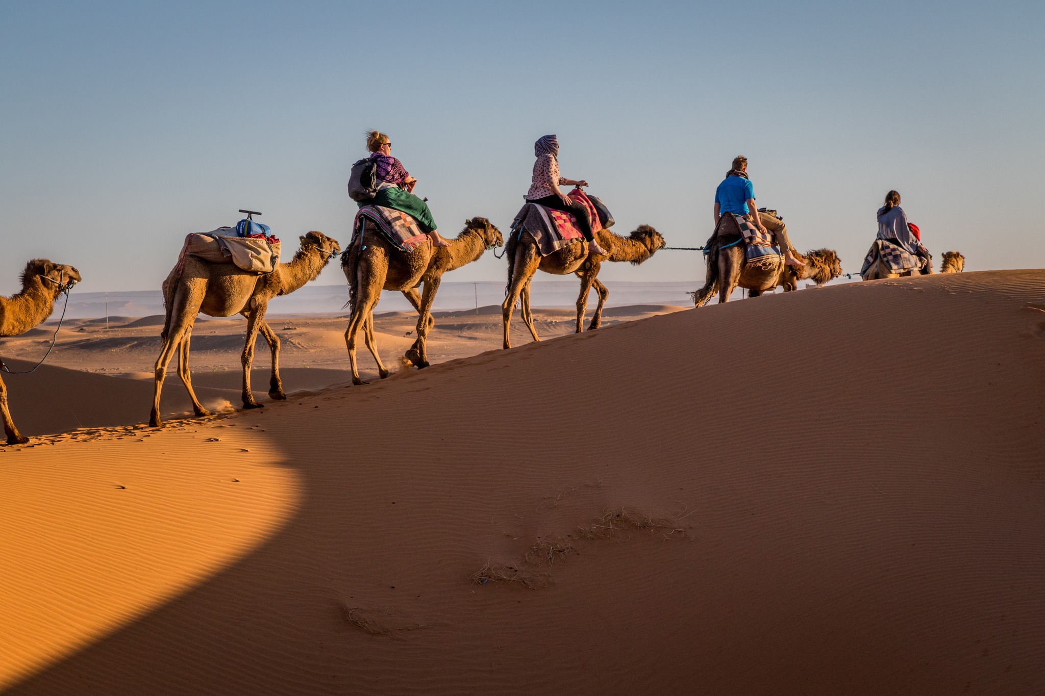 Camel trek across Sahara dunes at sunset, Merzouga, Morocco