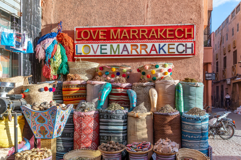 Marrakech medina rooftops with the Atlas Mountains beyond, Morocco