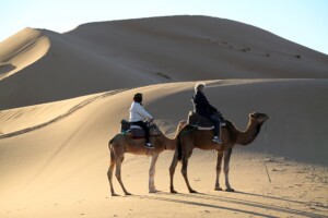 Camel trek across the Erg Chebbi dunes at sunset, Merzouga, Morocco