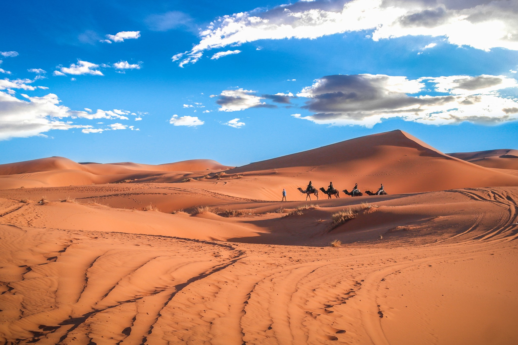 Nomad guide standing beside a camel in the Sahara desert, Morocco
