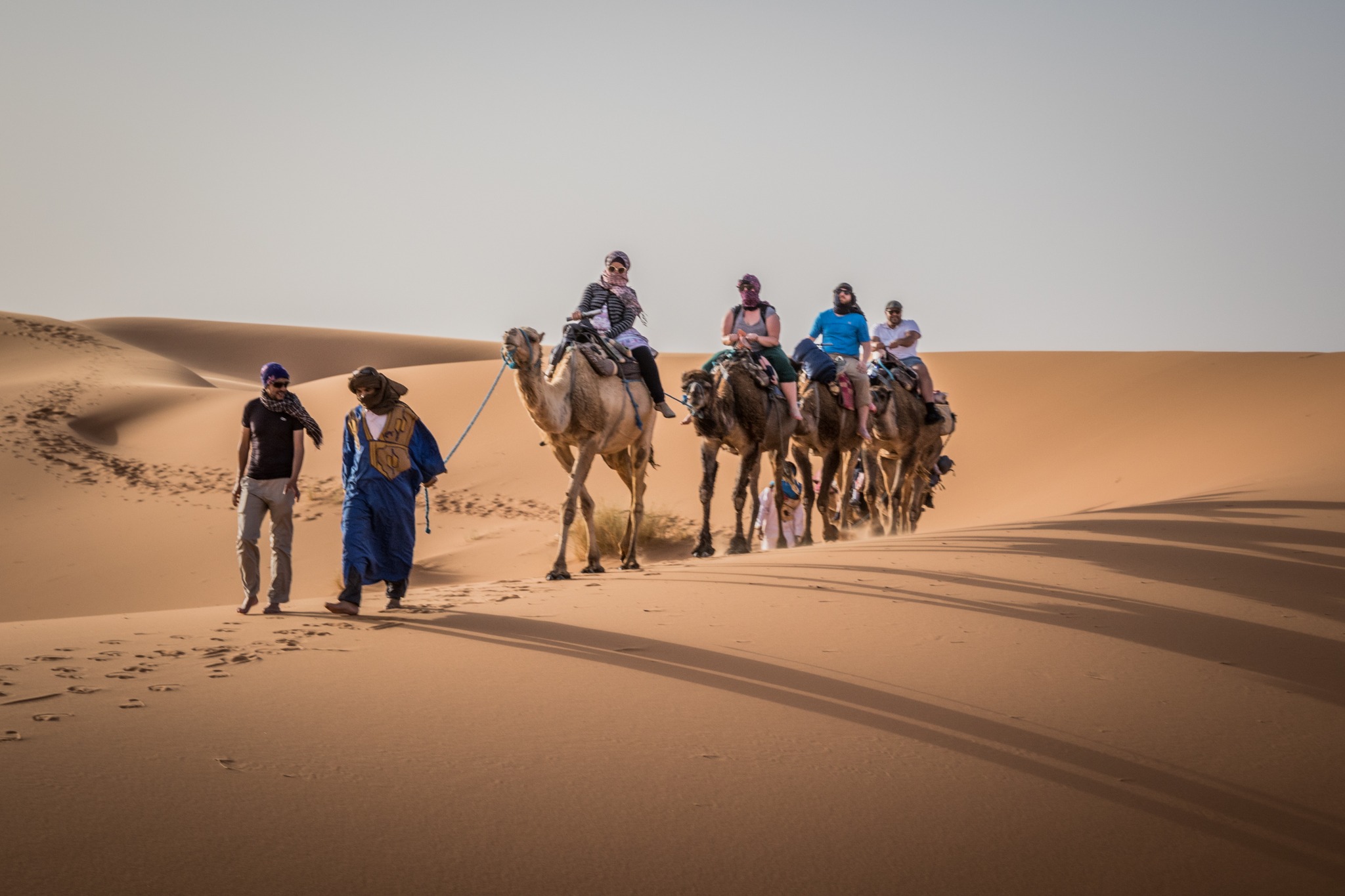 Camel trek across the Sahara dunes near Merzouga, Morocco