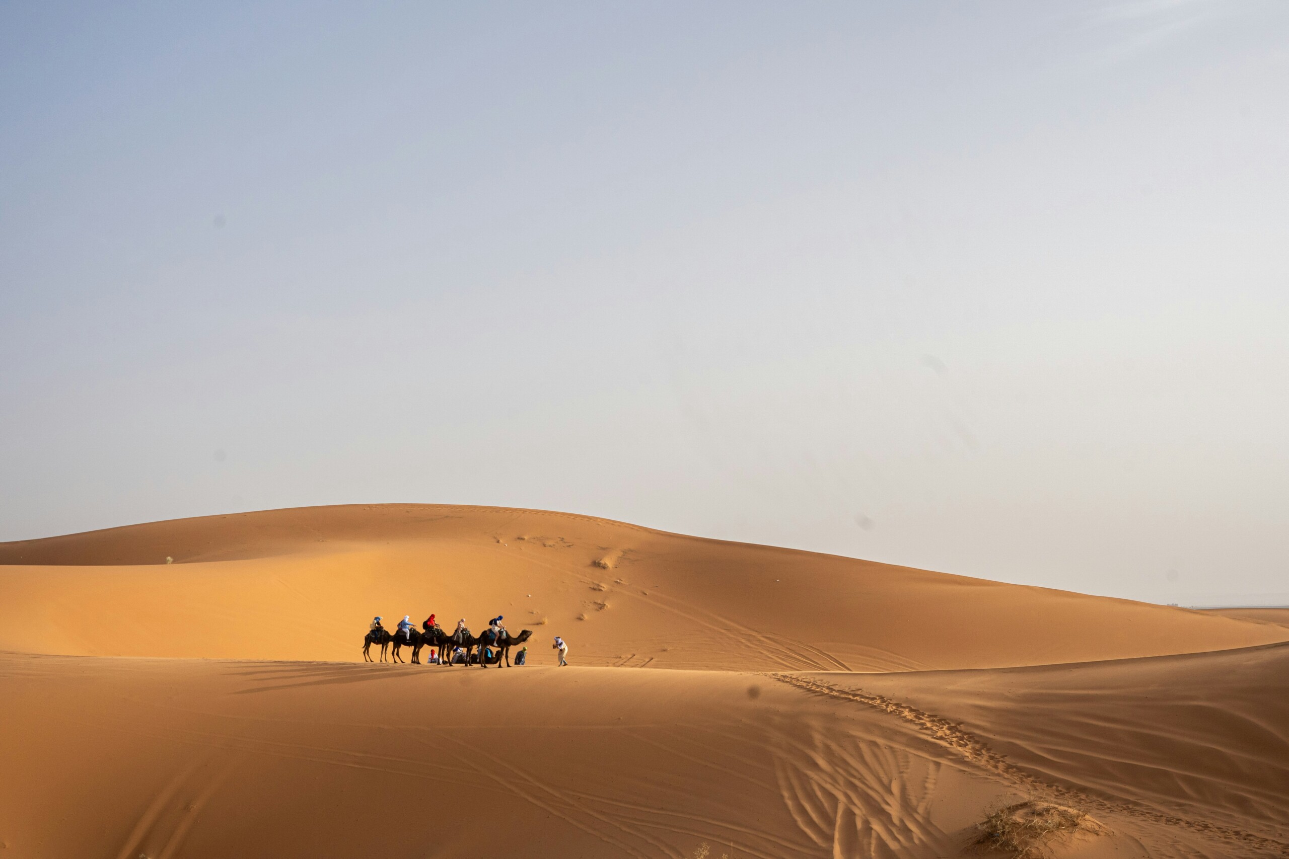 Camel trek with a nomad guide in the Sahara desert, Morocco