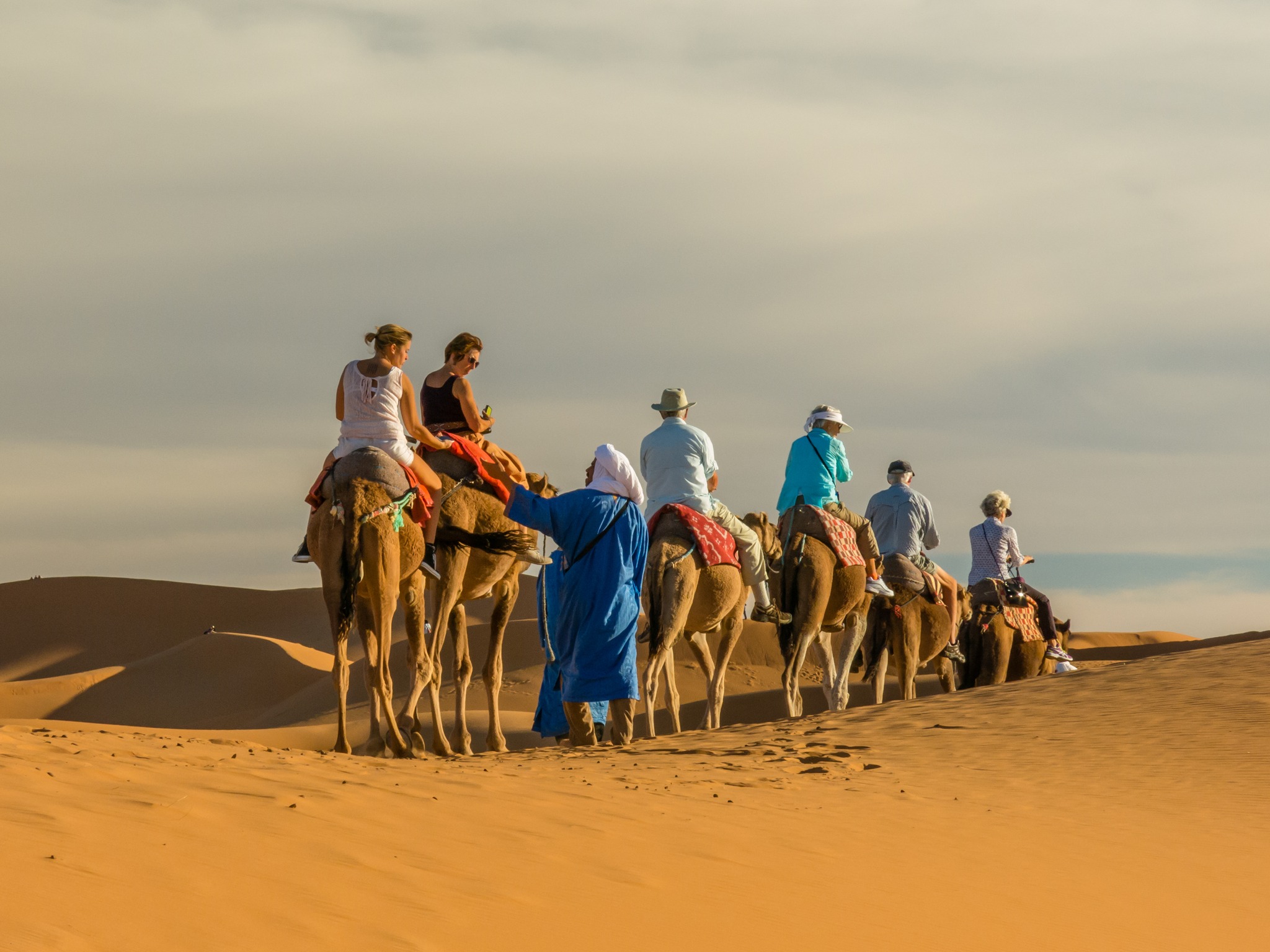 Nomad guide standing beside a camel in the Sahara desert, Morocco