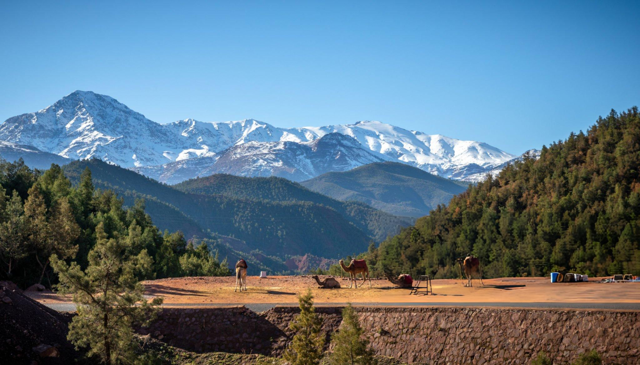 High Atlas Mountains on the way to Ourika Valley, Morocco