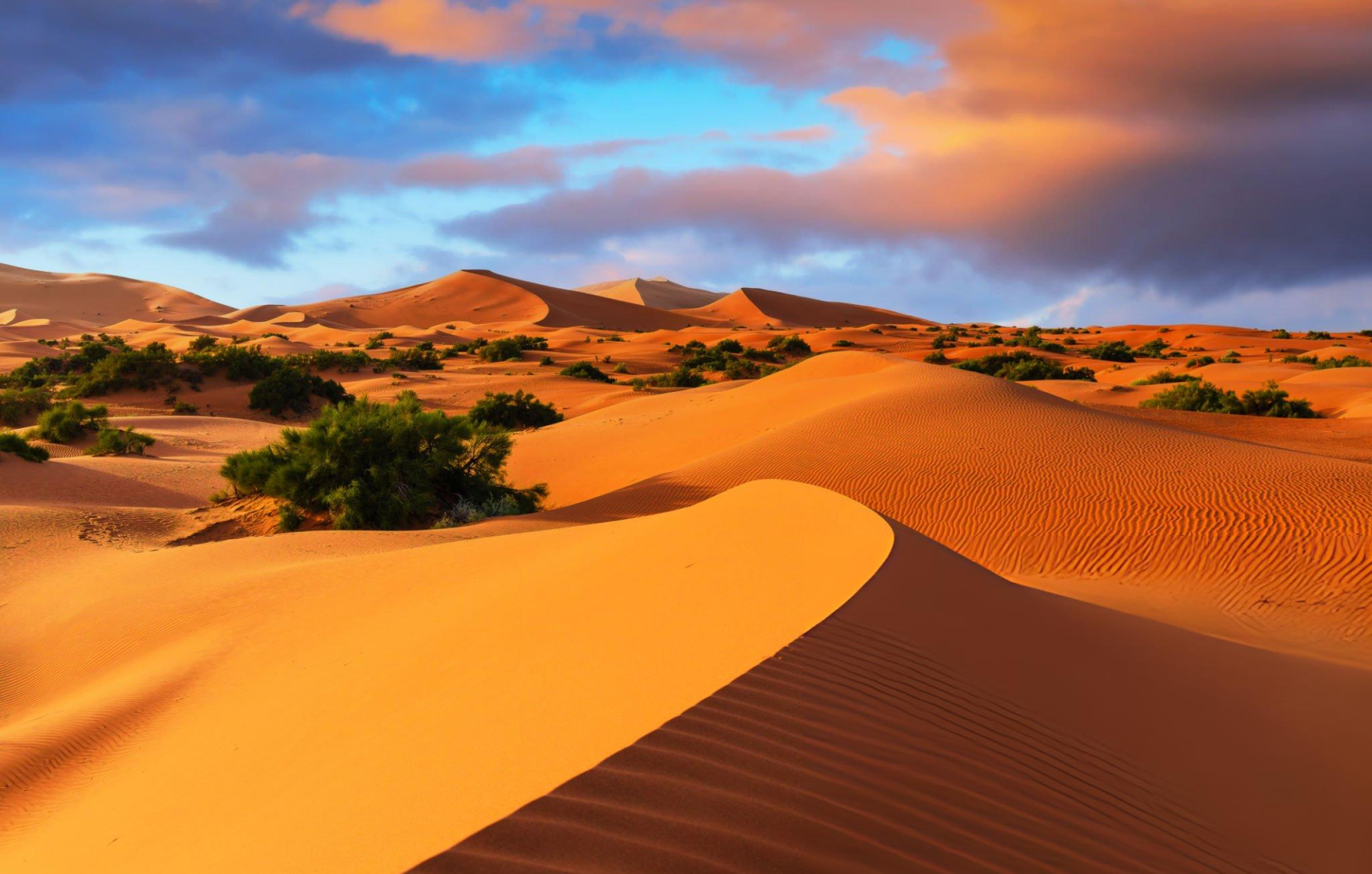 Sahara Desert, Merzouga, Morocco